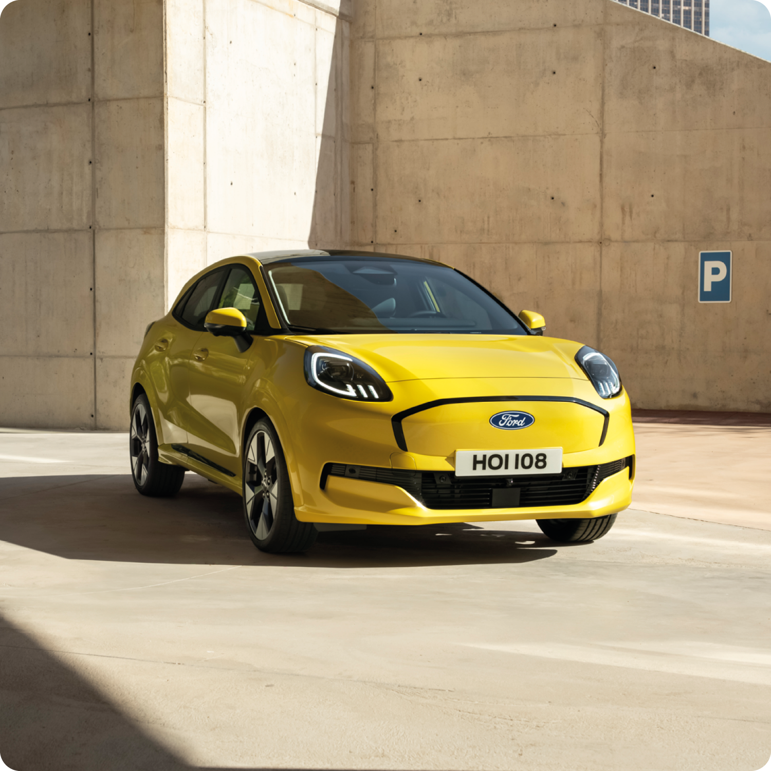 The World of TrustFord Banner (L)