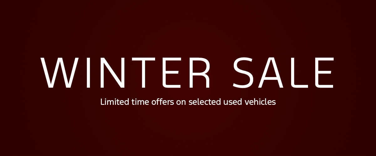 Winter Sale Banner