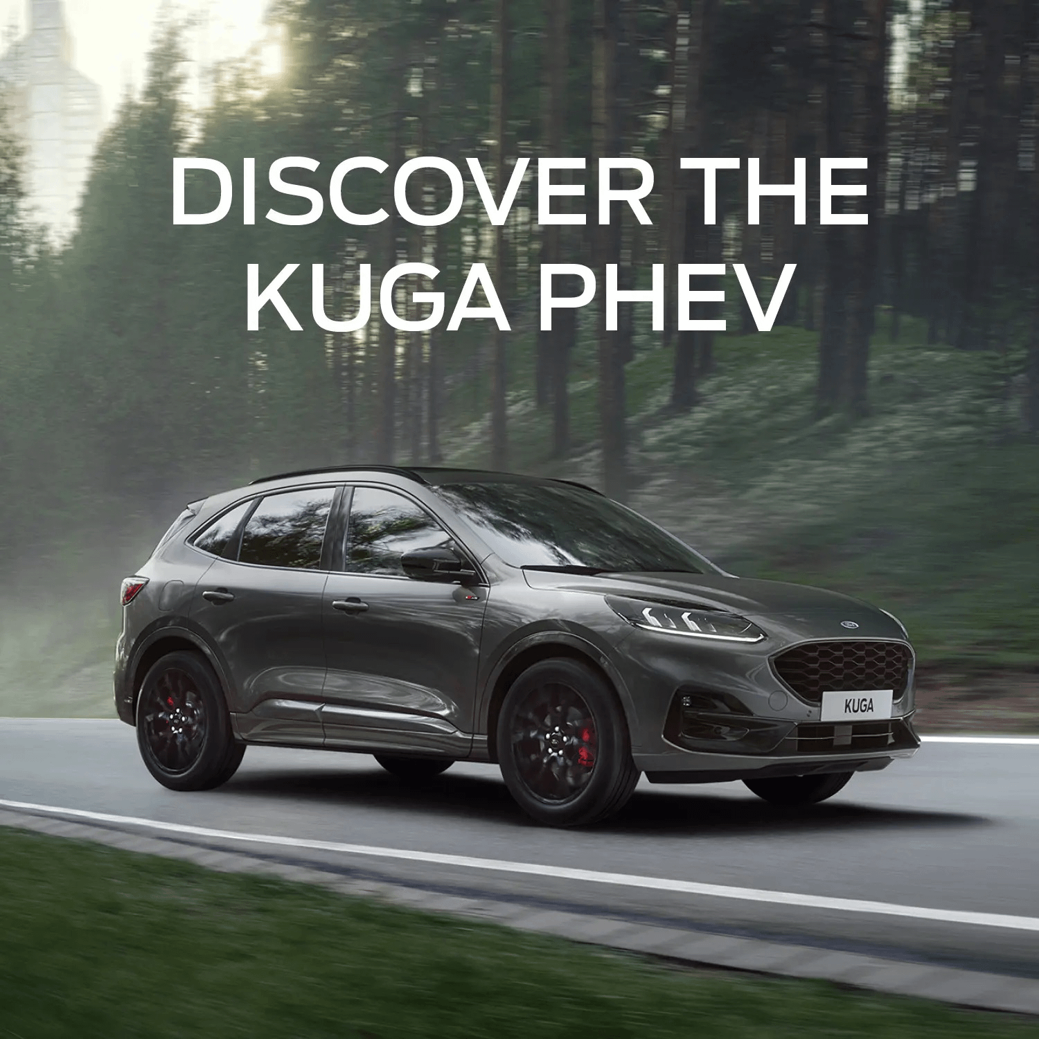 silver kuga