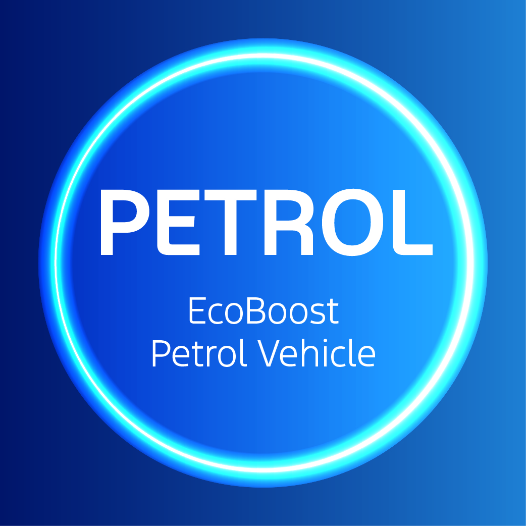 Ecoboost Petrol Vehicle