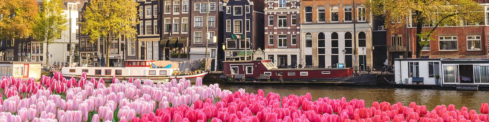 Trustford Aftersales Services