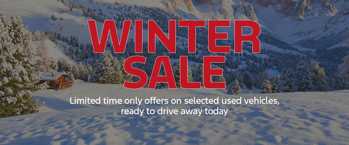 Winter Sale Banner