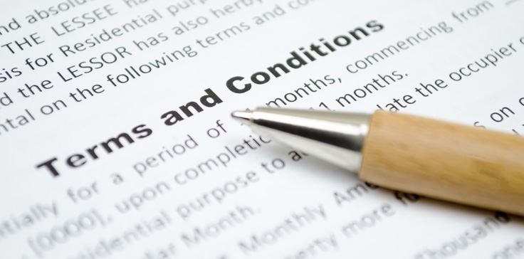 Terms & Conditions - Website