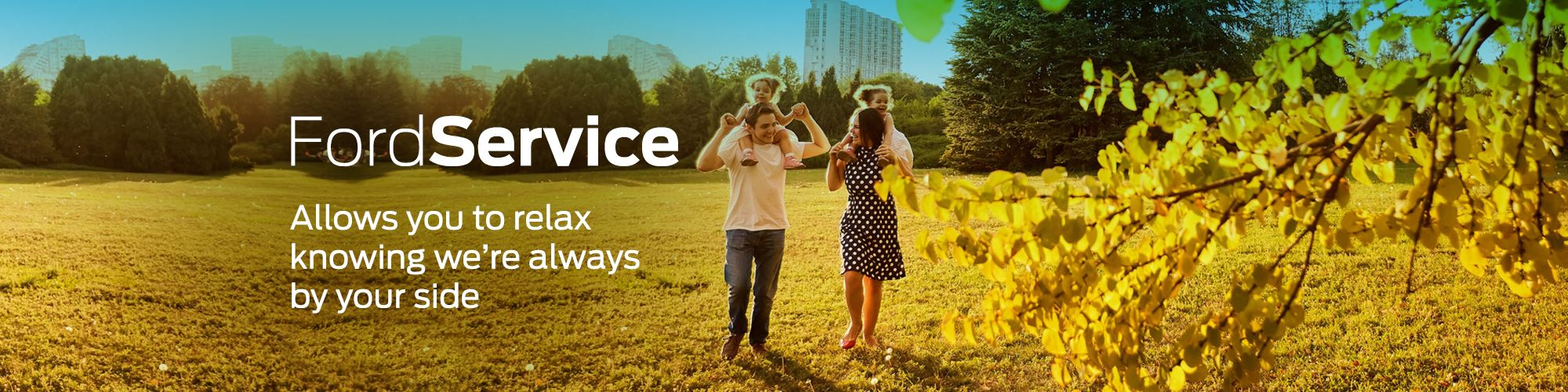 New Car Offer Banner (M)