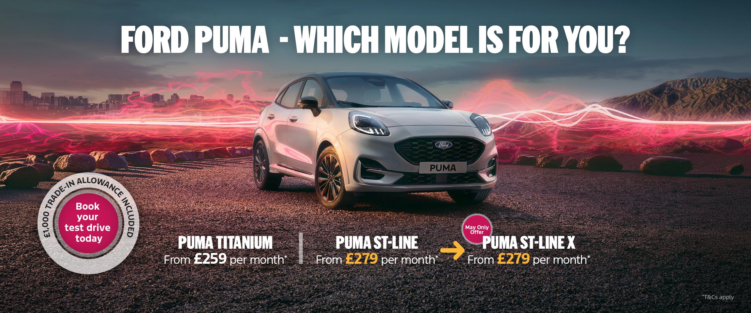Puma Banner