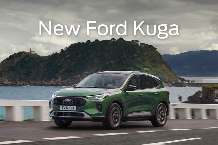 Fill Your Boots Car Banner (S)