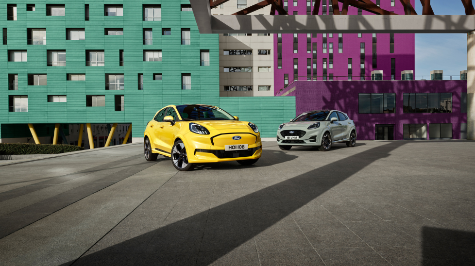 Pick Your Puma Umage